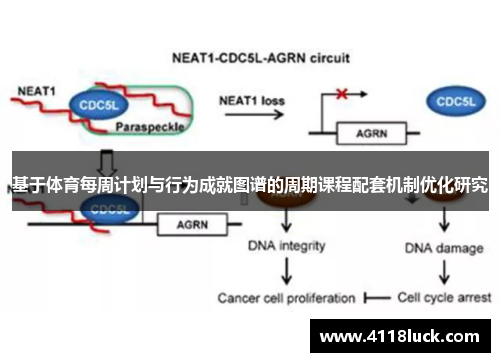 基于体育每周计划与行为成就图谱的周期课程配套机制优化研究